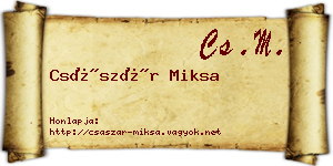Császár Miksa névjegykártya